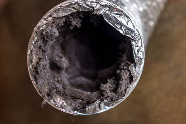 Best Emergency Air Duct Cleaning  in Hill N Dale, FL