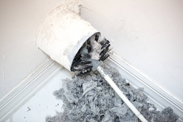 Best Affordable HVAC Duct Cleaning  in Hill N Dale, FL